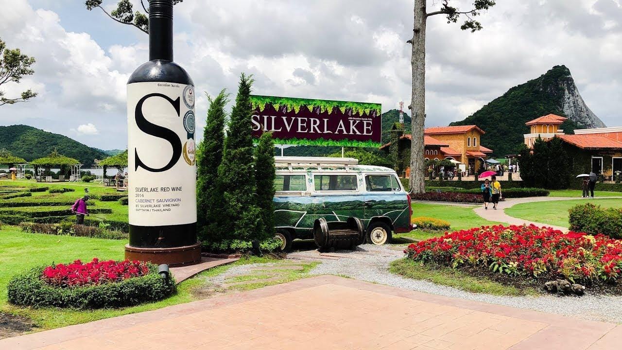 Silverlake Grape Farm, Wisata Kebun Anggur Ala Eropa Di Thailand