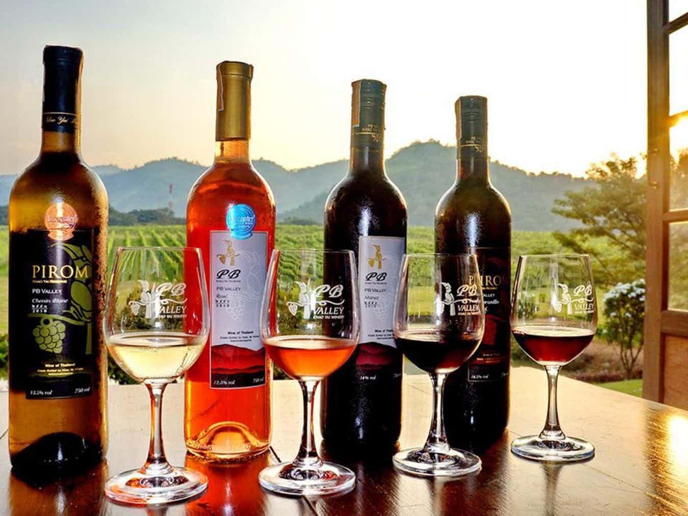 Vineyard & Winery Tour