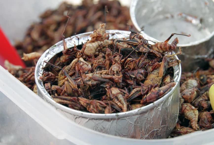 Belalang (Tak Ka Tan)