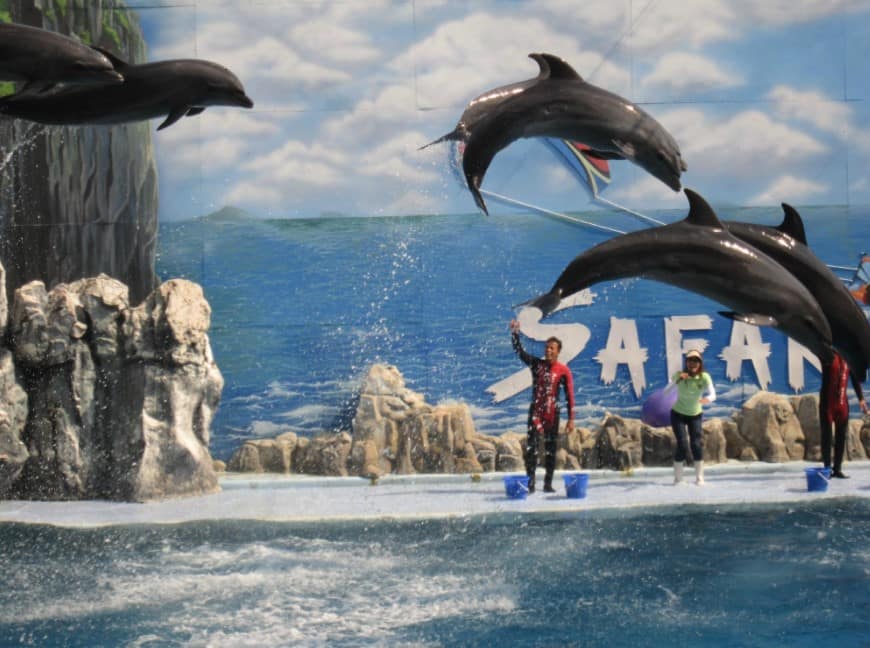 Safari World and Marine Park Bangkok, Foto Tripadvisor