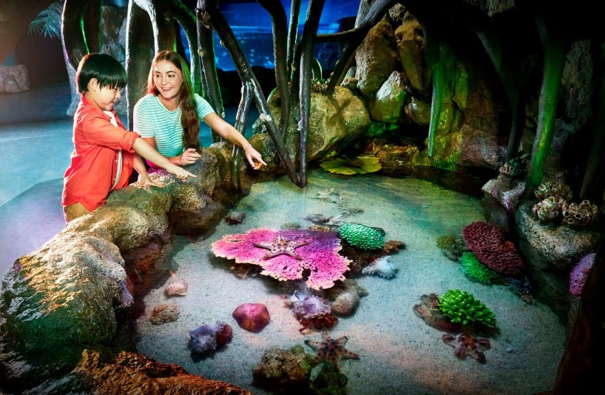 SEA LIFE Bangkok Ocean World, Foto klook.com