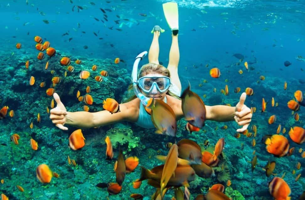 Pantai Terbaik untuk Snorkeling di Koh Samui Thailand
