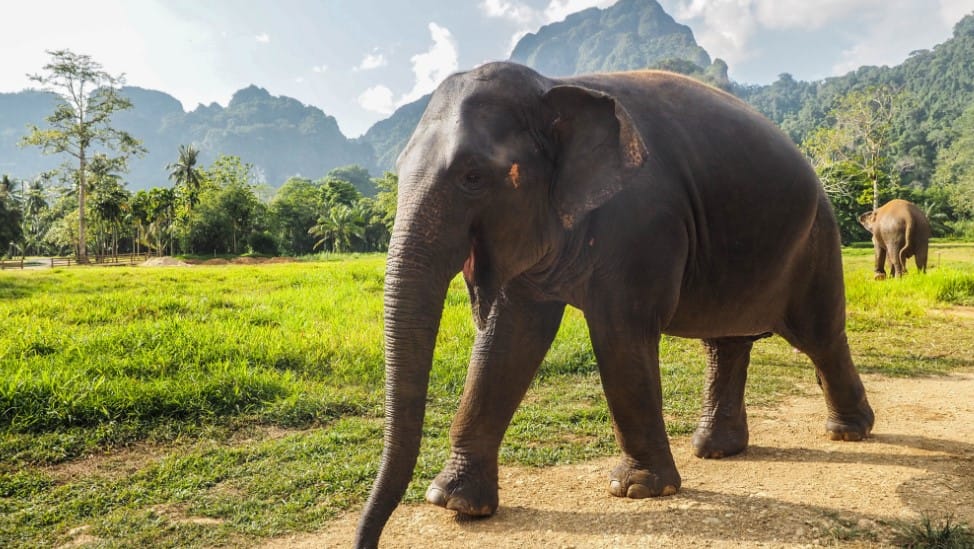 Tur Taman Nasional Khao Sok